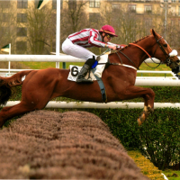 Calypso du Puy Noir à Auteuil