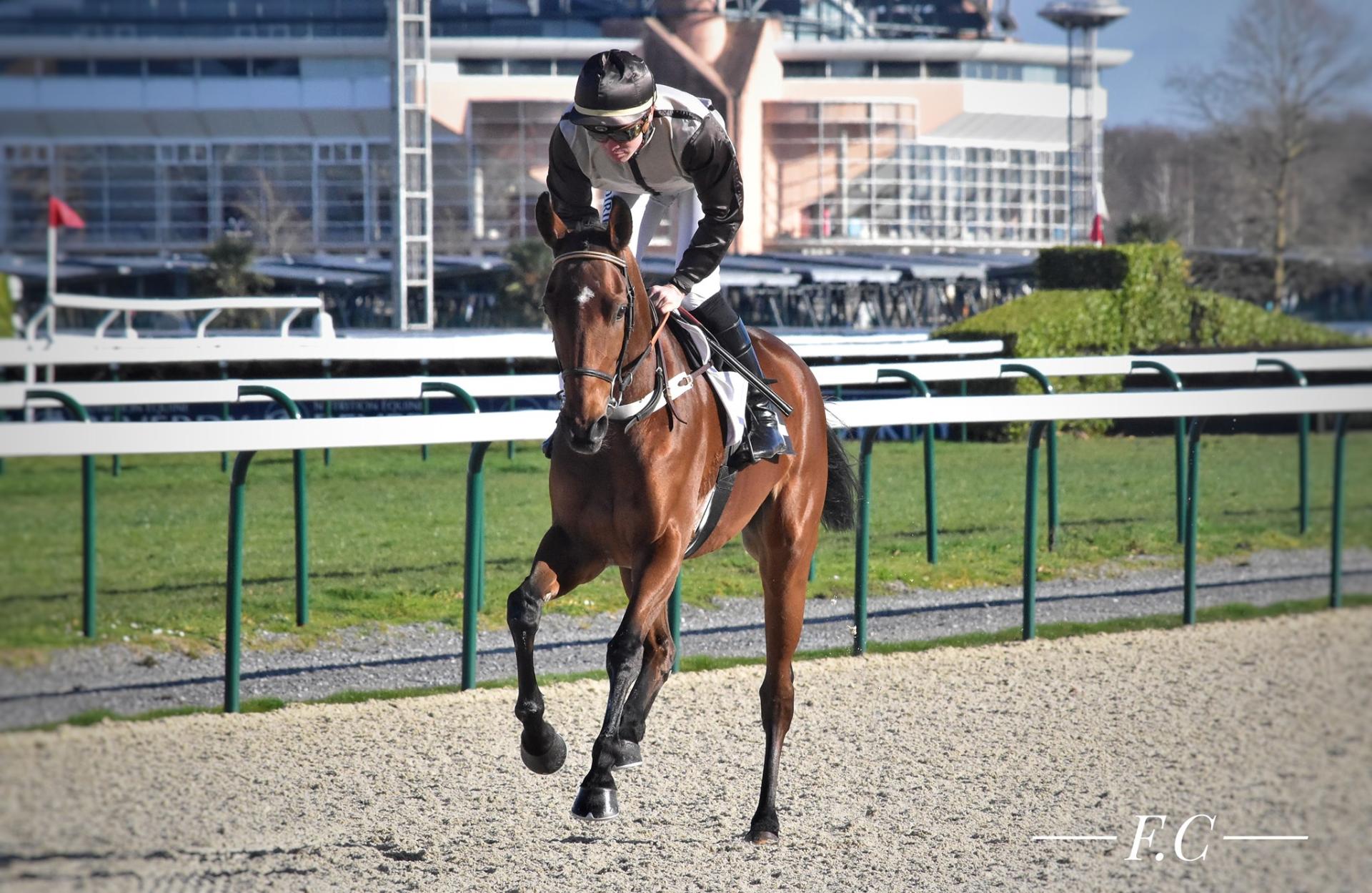 Julie du Puy Noir à Pau