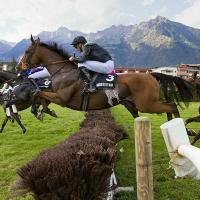 Amour du Puy Noir à Merano