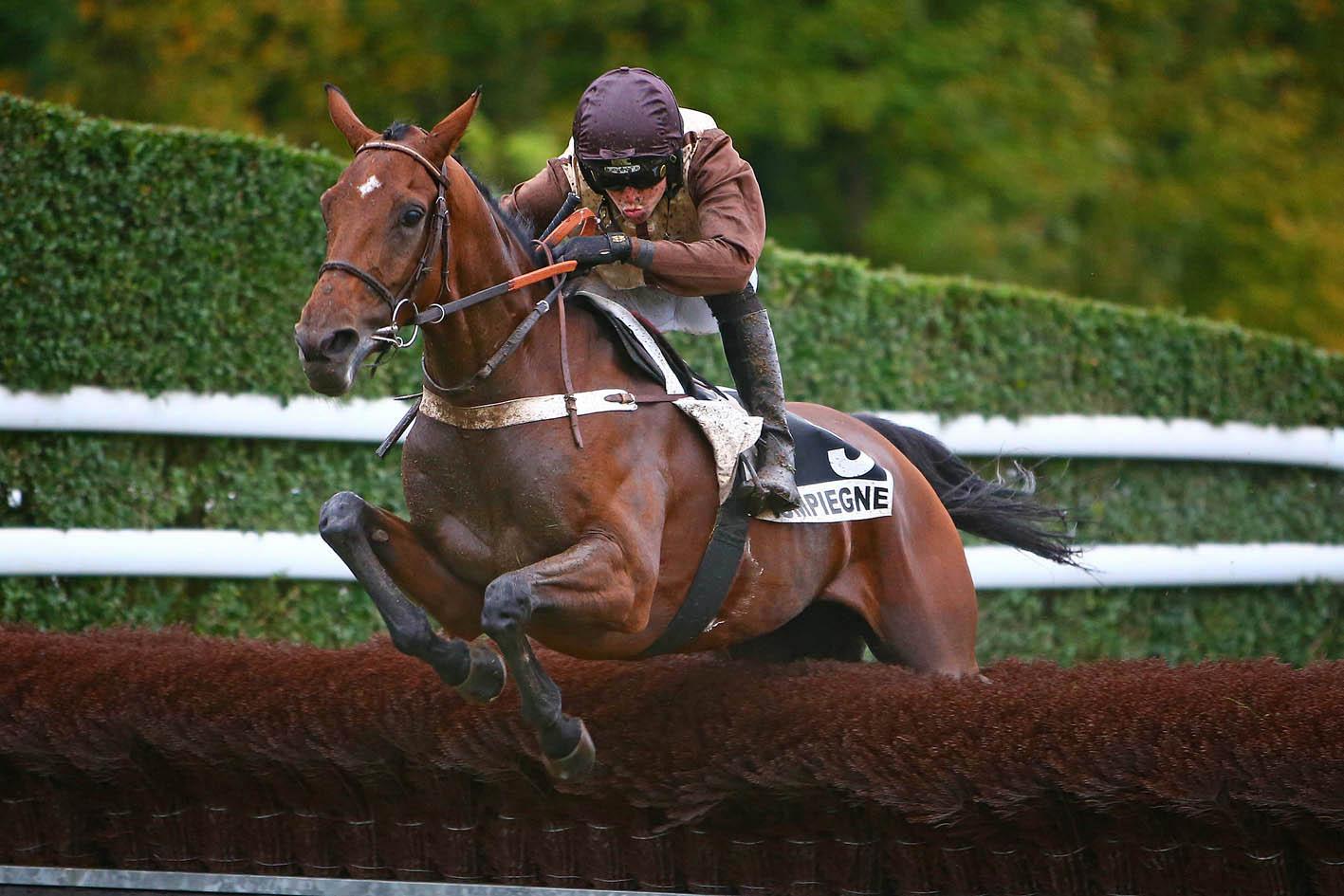 Julie du Puy Noir 3eme place d'une Listed à Compiègne le 1 11 2019