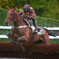 Julie du Puy Noir 3eme place d'une Listed à Compiègne le 1 11 2019